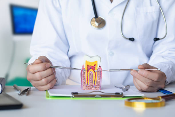 Best Pediatric Emergency Dentist in Moreland, ID